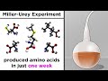 Origin of Life and Cell Biology