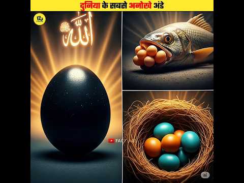 Most Unique Eggs In The World #shorts