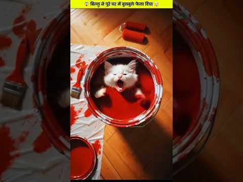 बिल्लु कलर के डिब्बे में फंस गया 😱 #shorts #ytshorts #cats