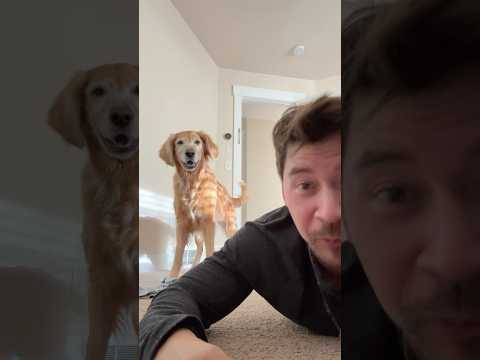 Nala woke up and chose chaos 🤣