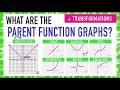 Exploring Function Transformations Vertically