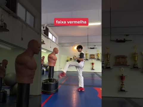 qual faixa vc eh?  (vídeo ilustrativo) #karate