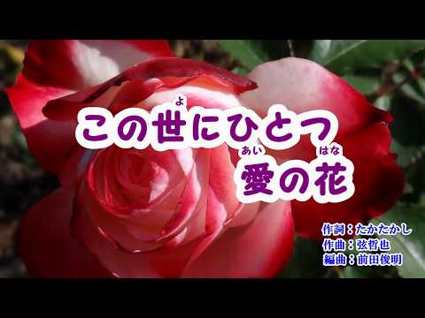 『この世にひとつ愛の花』千葉一夫　カバー　2019年(令和元年)5月15日発売