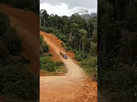 Skill driver logging truck pantau bukit