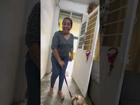 La que no quería perros en la casa 🤣