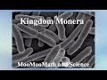 Understanding the Kingdom Monera