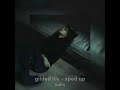 Understanding the Song's Themes