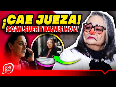 🚨URGENTE YA CAYÓ🚨VUELCA A LA SCJN NADIE ESPERABA ESTA MEGA JUGADA DE LA PRESIDENTA, SACÓ EL MÚSCULO