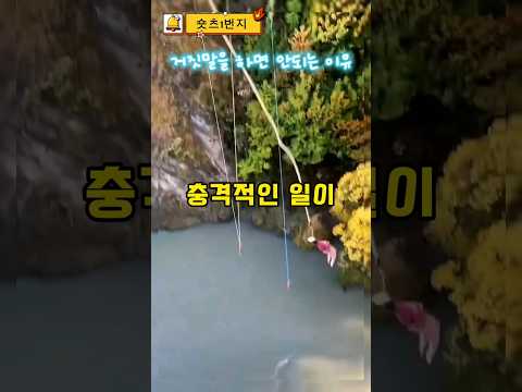 번지점프를 할때 정직 해야되는 이유