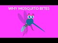 Mosquitoes: Understanding and Prevention
