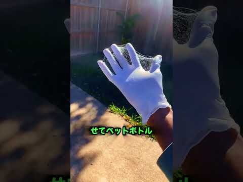 現実のピーター・パーカー!