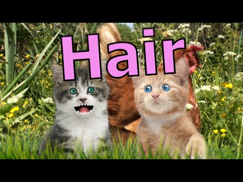 Hair - Rathergood Chat episode 56