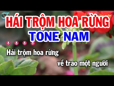 Karaoke Hái Trộm Hoa Rừng Tone Nam ( Em ) Nhạc Sống Hay Nhất || Karaoke Tuấn Kiệt