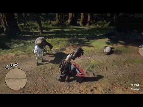 RED DEAD REDEMPTION 2....Few more things on the map