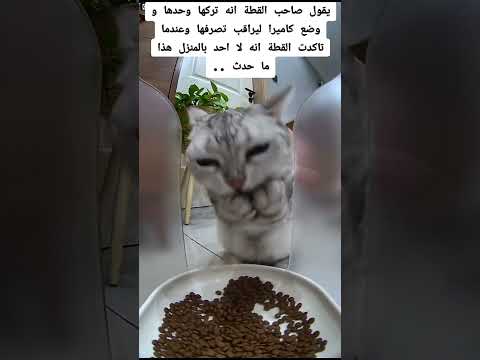 أشياء ليس من المفترض حدوثها صورتها #tiktok #tiktok #foryou #subscribe #reels #youtubeshorts