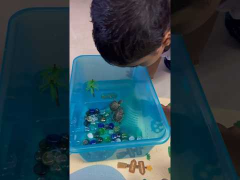 ஆமை புகுந்த வீடு விளங்கவே விளங்காதா😢