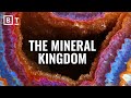 Exploring the Role of Minerals in Detecting Life