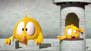 Where's Chicky? | King Chicky | A Xilam Series | Xilam TV