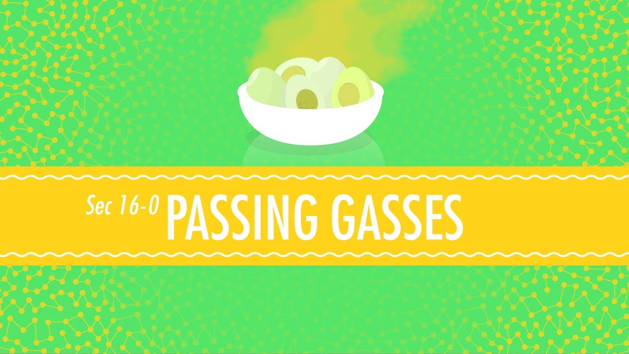 Exploring Gas Movement: Effusion, Diffusion, and Velocity