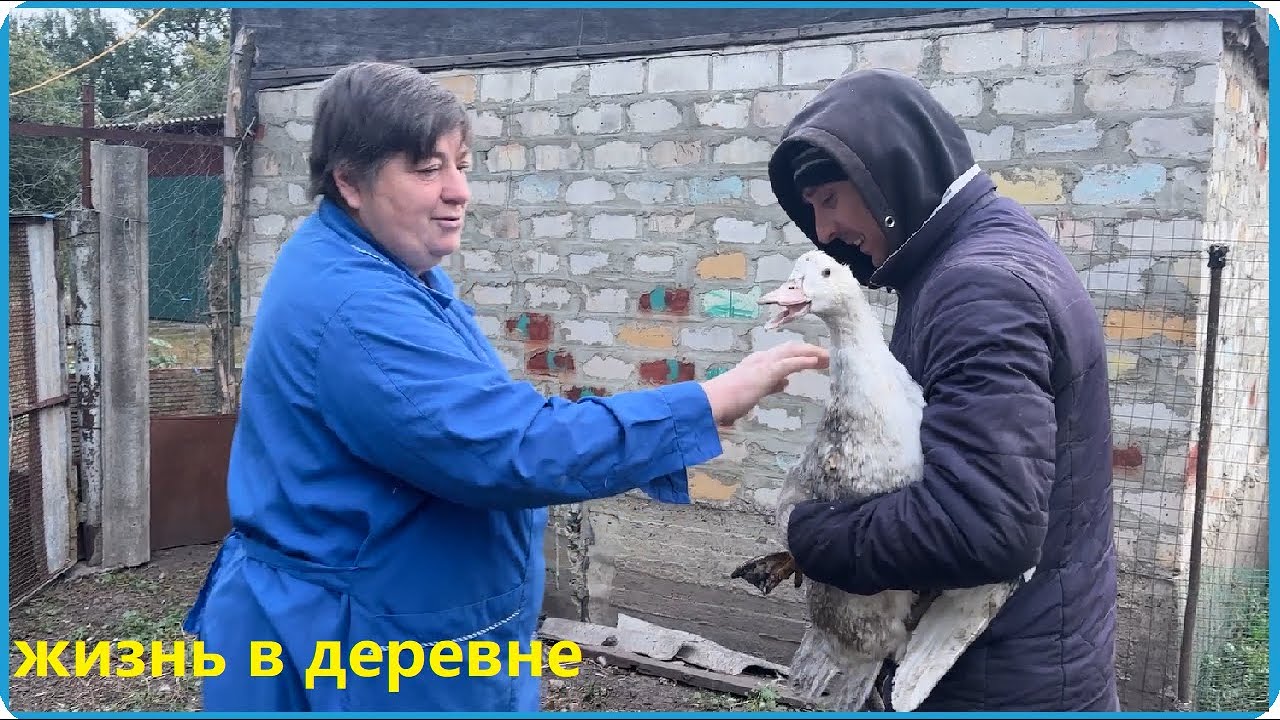 Живём как живётся и радуемся тому что есть, жизнь в деревне
