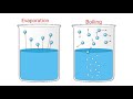 States of Matter and Phase Changes