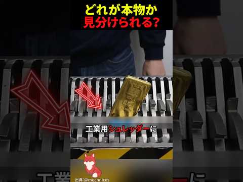 ㊗️800万回再生‼︎ 本物の金塊、シュレッダーにかけたらまさかの結果に…
