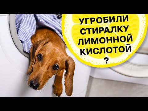 УХОД ЗА СТИРАЛЬНОЙ МАШИНОЙ: ПОСЛЕДСТВИЯ ИСПОЛЬЗОВАНИЯ ЛИМОННОЙ КИСЛОТЫ, УКСУСА, ХЛОРКИ,