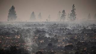 YouTube video thumbnail: Fire of the Century in Eastern Belgium Brought 'Under Control,' Local Official Says