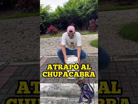 ATRAPÓ AL CHUPACABRA😨 #spiderman