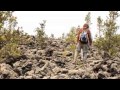 Forest Ecosystem Dynamics and Succession