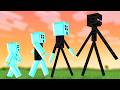 Enderman Evolution and Abilities