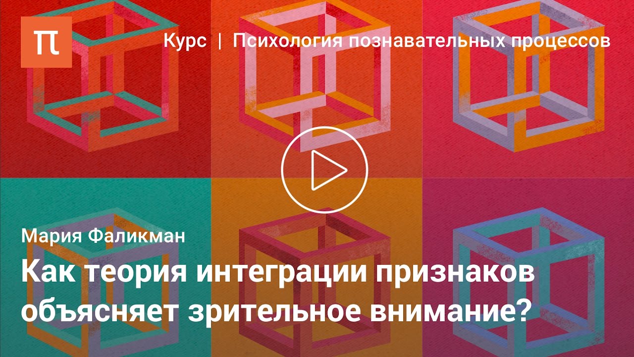 Зрительное внимание - Мария Фаликман