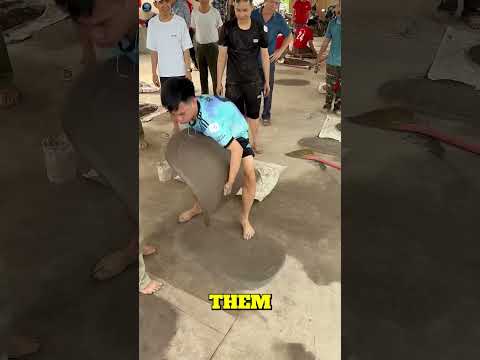 Vietnam’s Mud Cannon Game 💥