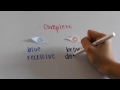 Genetics: Incomplete Dominance and Pleiotropy