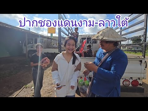 #เที่ยวลาวใต้ ปากชองแดนงาม อากาศเย็นๆ #บรรยากาศ ข้างๆทาง #สาวลาว น่ารัก #food #สปปลาว #เลาะตลาดตลี