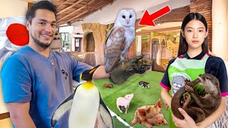 El LADO OSCURO de las Cafeterías con ANIMALES en Japón 🇯🇵🦔