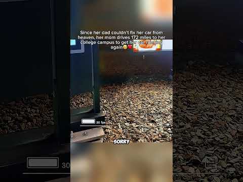 That was so sweet of her to do ๐ฅนโค๏ธ #family #loss #love #wholesome #heartwarming #hopecore