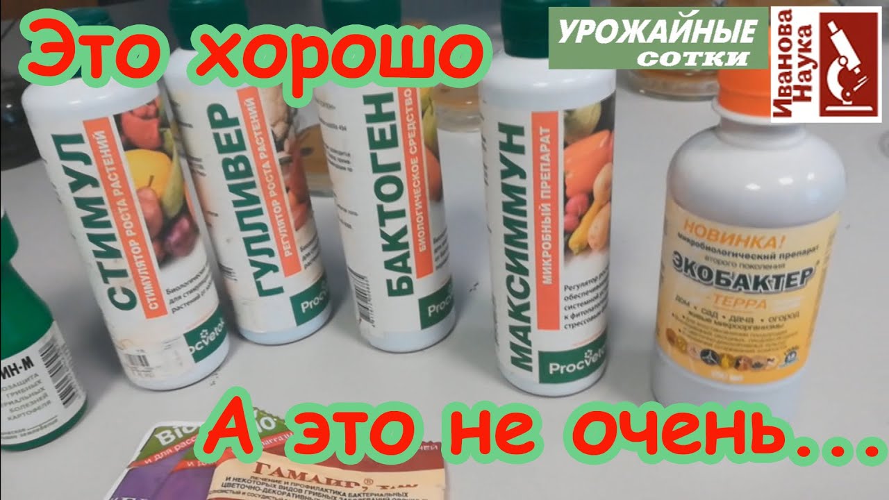 Почему растения заболели и не сработал биопрепарат? Как разбудить защиту растений?