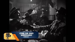 Transmisión en vivo de Televisa Mexicali Oficial
