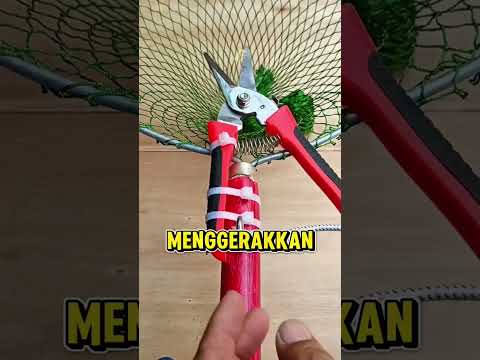 Bilah Pemetik Mangga Automatis!