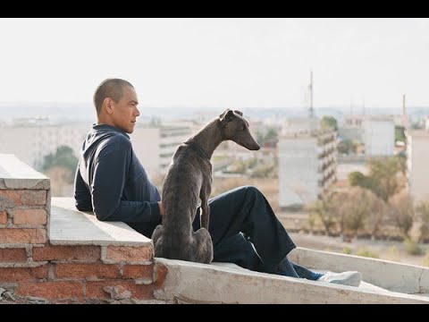 Bild Filmn&auml;chte M&uuml;nsingen - BLACK DOG