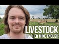 Understanding Livestock and Immigration