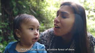 Climate Solutions Films That Move