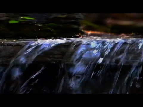 Running Water for Sleeping & Studying | Soothing Nature Sounds (11 hours)