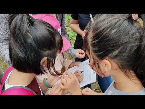 新進國小精靈生態教室 - YouTube