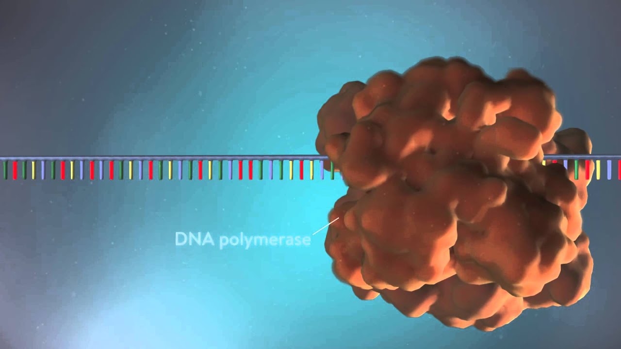 DNA Replication Virtual Lab: Unveiling the Secrets of Life’s Blueprint