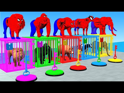 Cow mammoth elephant tiger buffalo guess the right door escape room challenge animals cage game