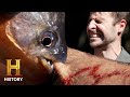 Understanding Dangerous Marine Creatures