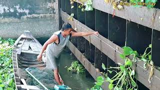 Bắt tôm trong cánh cửa cống ngăn mặn