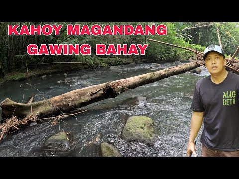 Libre Troso sa ilog Pweding gawing bahay...naanod sa malaking baha